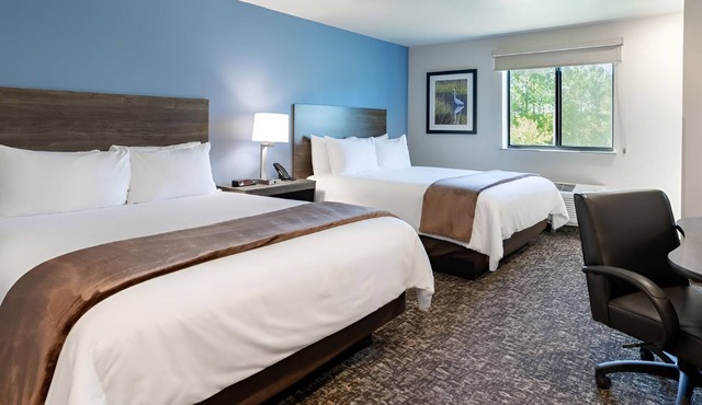 3 Pet-Friendly Rooms Close to Zing Zumm Museum for Fun Family Adventures