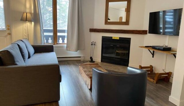[305] Cozy 1 bedroom condominium with a view on Mont-Sainte-Anne AC
