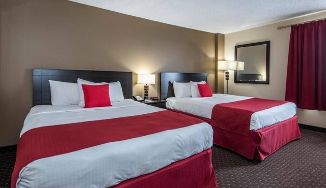 4 Spacious Rooms Near Philip J Currie Dinosaur Museum, Just 20 Min Away