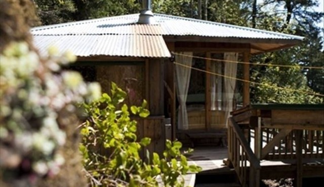 A Happy Nest up in the trees, unique Salt Spring Cottage close to town