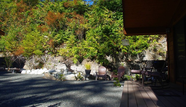 A Wild Coast Chalet ~ with sunny outlook and beautiful tree views