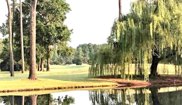 Amazing Spacious Golf View Condo