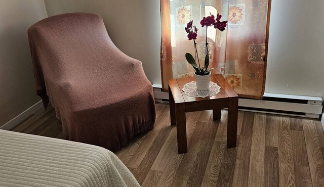 Appartement cosy au 1er étage, dans une maison particulière, en centre ville !