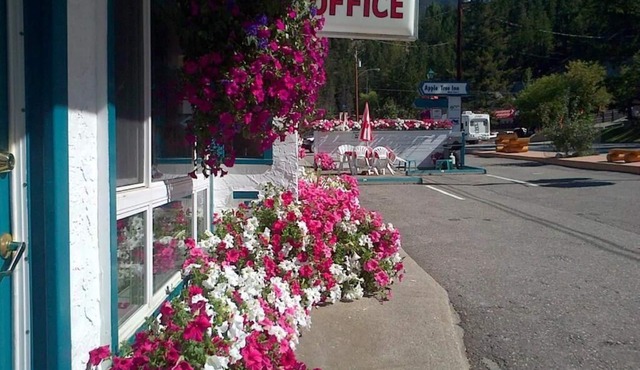 Apple Tree Inn