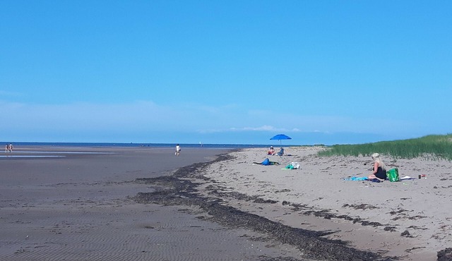 Available only to Atlantic Canadians, 3 minute walk to pet friendly beach.