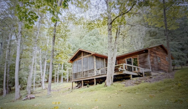 Backyard creek, screened porch