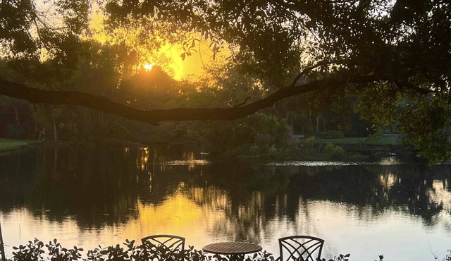 Bali at the Bay ~ A Tranquil Sarasota Retreat close to downtown & beaches