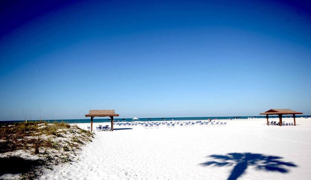 Beach & Poolside Paradise on Siesta Key