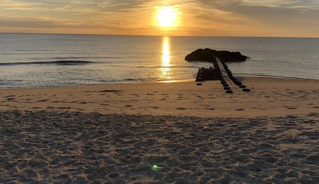 BEACHFRONT! PET FRIENDLY COTTAGE with unobstructed SPECTACULAR SUNSET views !