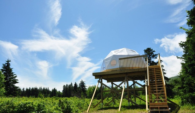 Beaver Dome at Cabot Shores Wilderness Resort