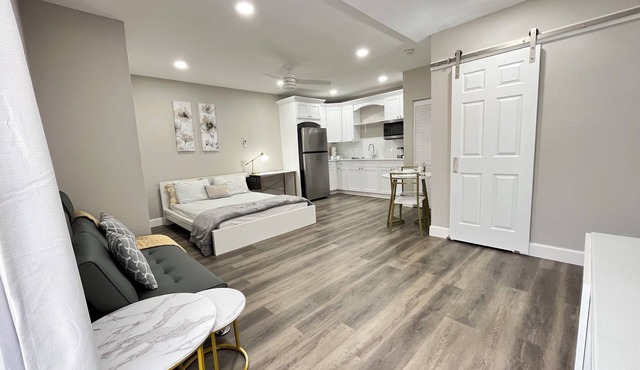 Centrally located modern studio W/D in fabulous Tampa close to TPA and highways