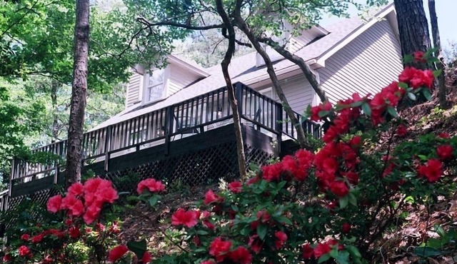 Charming 3 BR Cottage on Top of a Hill, Private Walk to Roanoke Sound
