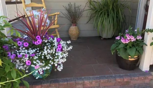 Charming cozy cottage downtown Petaluma