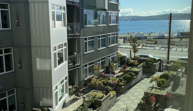 Condo on the Waterfront w/secured parking. Walk to Pike Market, Cruise Terminal