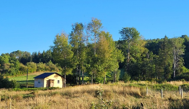 Country Retreat with Horses Near Fundy & Poley Mountain
