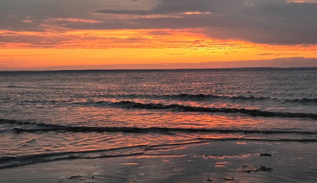 Cozy cottage with private beach access. Family and pet friendly!