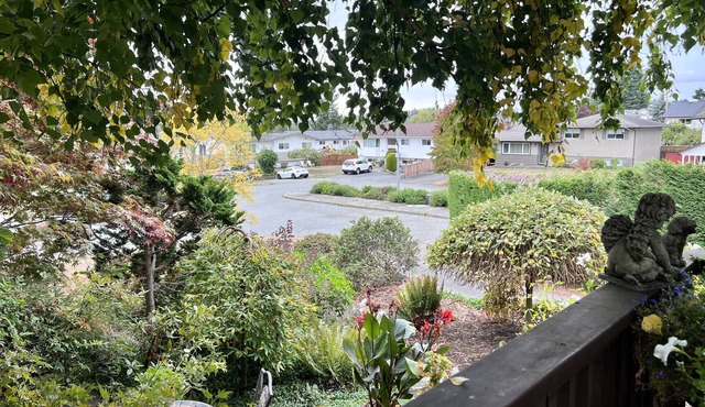 Cozy Gem: Heart of Victoria