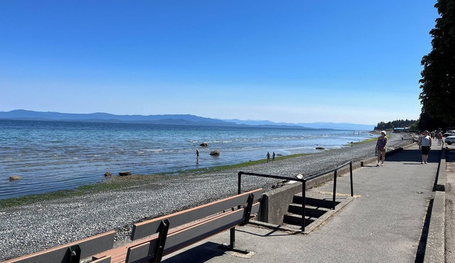 Cozy & private Guest Cottage just minutes from the beach and so much more!