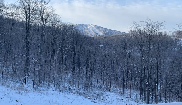 Cozy ski home with amazing views of Stratton & Bromley Mountains.