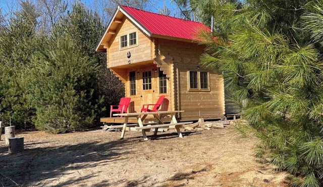 Cozy Woodland Bunkie + Outdoor Shower + WiFi