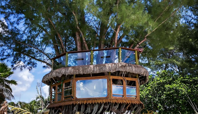 Crazy Cute Beach Cottage In Paradise
