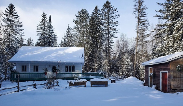 Enjoy our secluded 125' shoreline on the Rivière-du-Loup surrouded by trees