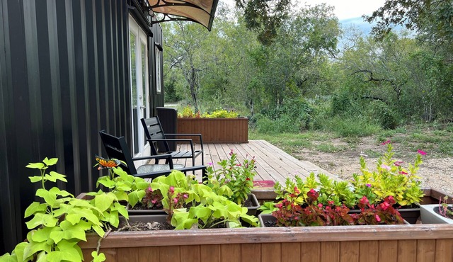 Escape the Ordinary and Embrace the Tranquility of an Alpaca Ranch.