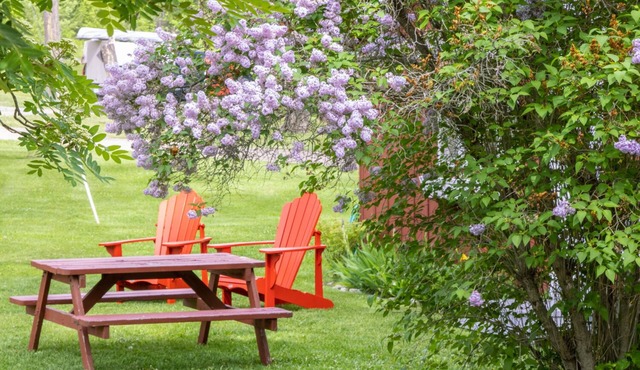 Fairmont Creek Property Rentals Timbers Resort