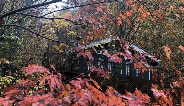 Falling Leaf Cabin - a true cabin in the woods in a private setting