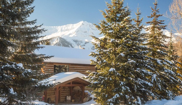 Fernie Lodging-2-6 people guest suite. 6-8 full lodge.Great location.B&B option