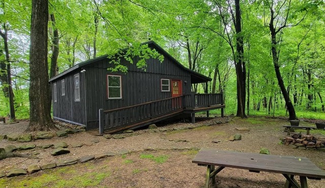 Forest Cabin #1 at Camp Because I Said I Would