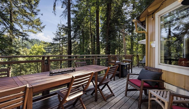 Forest, Spa, Dog Friendly, Great Location!