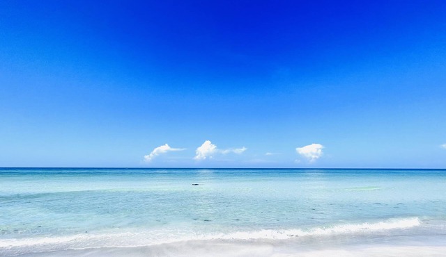 Friends&Families vacaIMins to Beach AMI+IMG AcadI2K-MastersIHeatedPoolISleep14