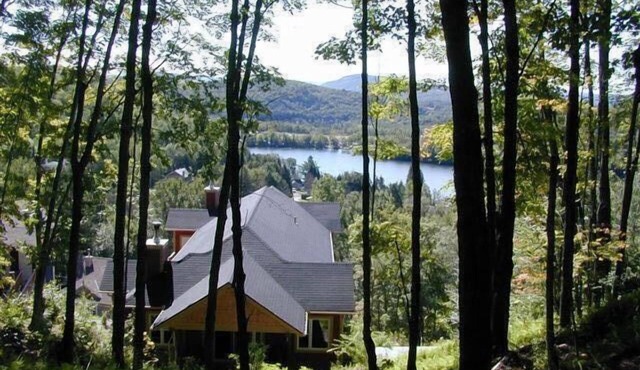 Gorgeous/Peaceful Cottage on the mountain with deers and birds.