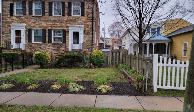 Great Delray, Alexandria, One bed, bath, kitchen NOT share, big backyard, metro,