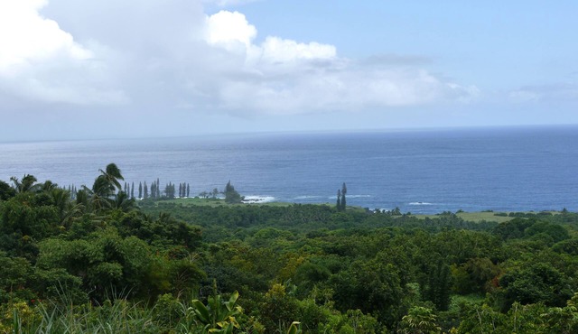 Hana's Heaven - a charming 2 bedroom cottage with spectacular ocean views