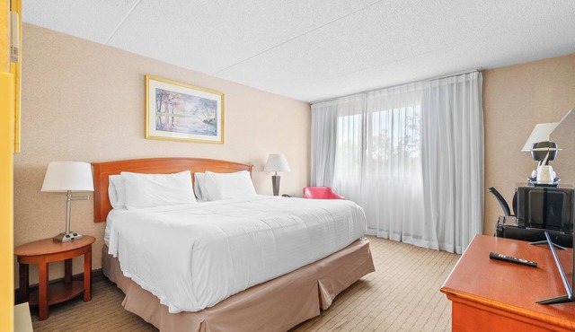 Hotel King Suite near Parking, AC, Gym, Pool