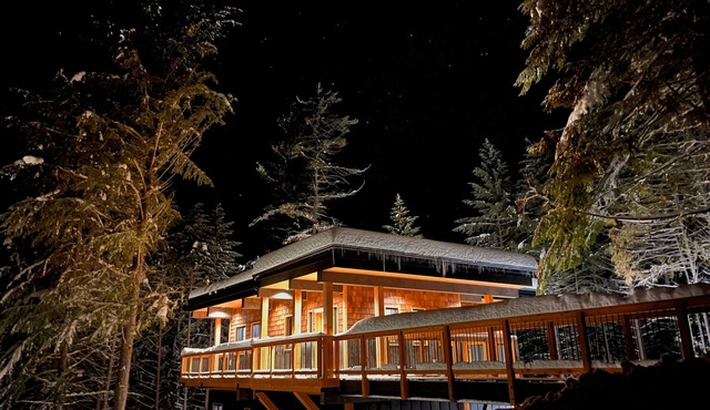 House with bridge, walk around deck, rooftop patio, 24' glass door & much more!