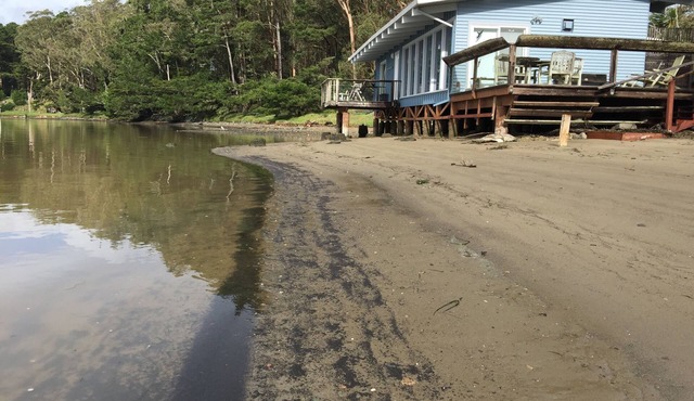 Joe's Studio on Tomales Bay, Bleu Bay Cove, Marshall, Pt Reyes National Park