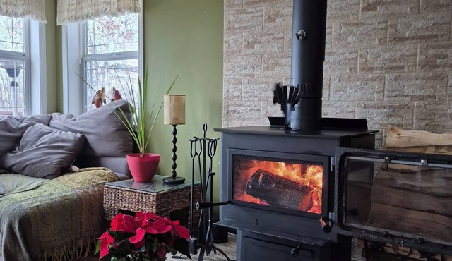 Lakefront Cabin Pet Friendly. fire pit, fire table, wood stove, 2 kayaks/CANOE