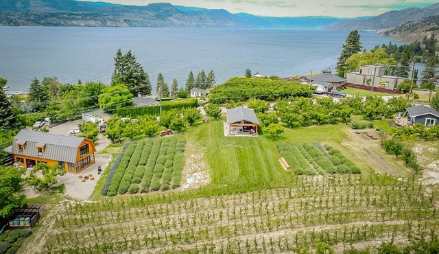 Lakeview cottage in orchard. Walk to lake & village. Wine, dine, play, relax.