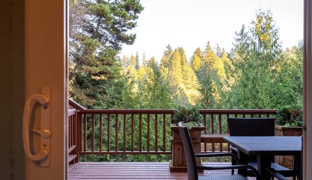 Large In-Law Studio Apartment