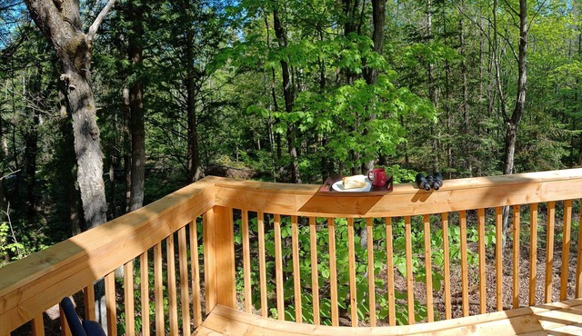 Le petit cottage du grand boisé - with wood-fired outdoor spa.