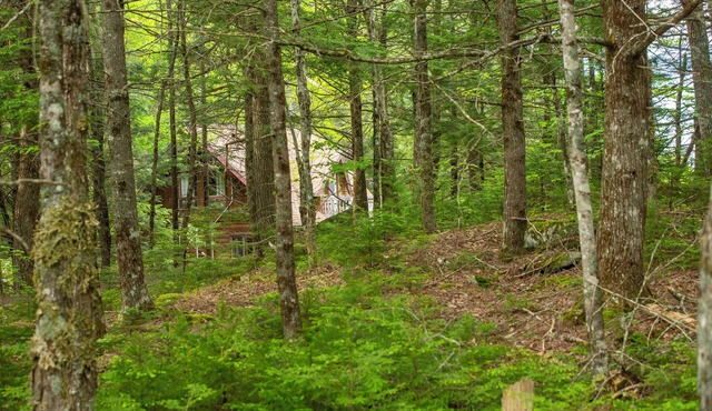 Log house with lake view