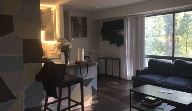 luxury fully renovated condo (events allowed