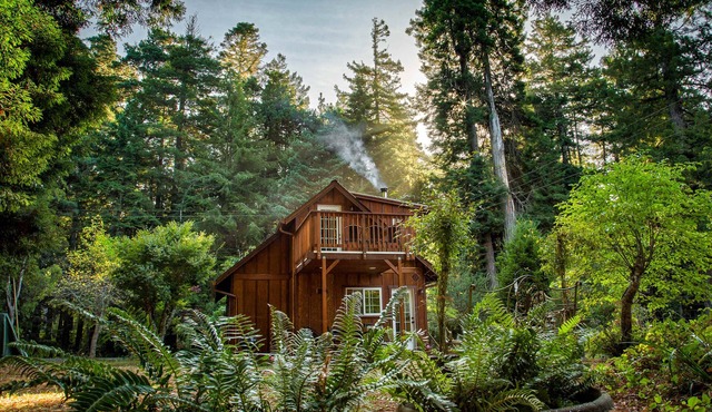 Magical Redwood Getaway-Outdoor Tub & Dog-Friendly