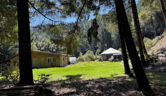 Mattole River Sancuary-2BR Cottage, Pet Friendly, Fast Wifi, Family Friendly