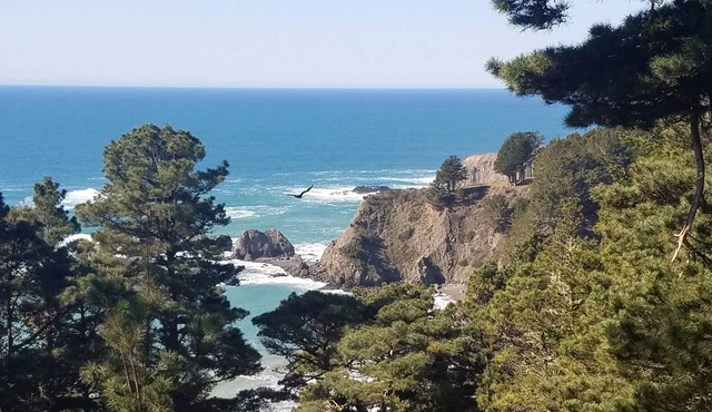 NEW! Experience the awe-inspiring views over the rugged Pacific Ocean.
