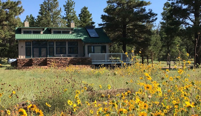 NO PHONE, NO POOL, NO CIGARETTES, NEAR ARIZONA TRAIL, FOREST ADJACENT