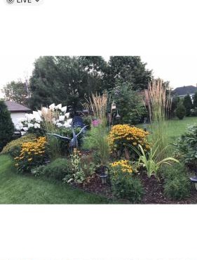 Oasis de la rivière